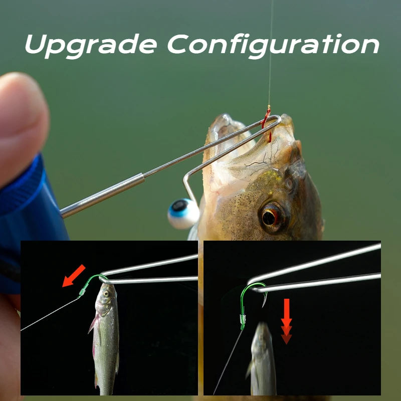 1 Stück Kleiner Köderausgeber  – Fishing Equipment Carp Bewertung und Preis